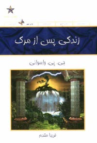 پایانه - زندگی پس از مرگ