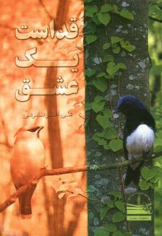 پایانه - قداست یک عشق