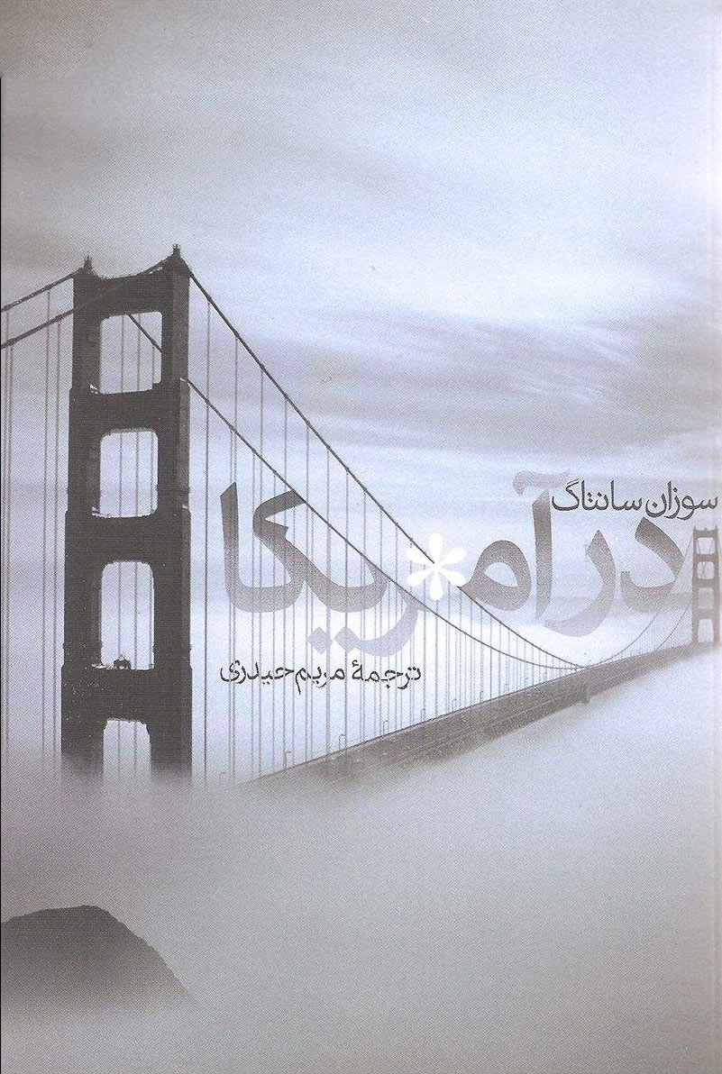 پایانه - در آمریکا