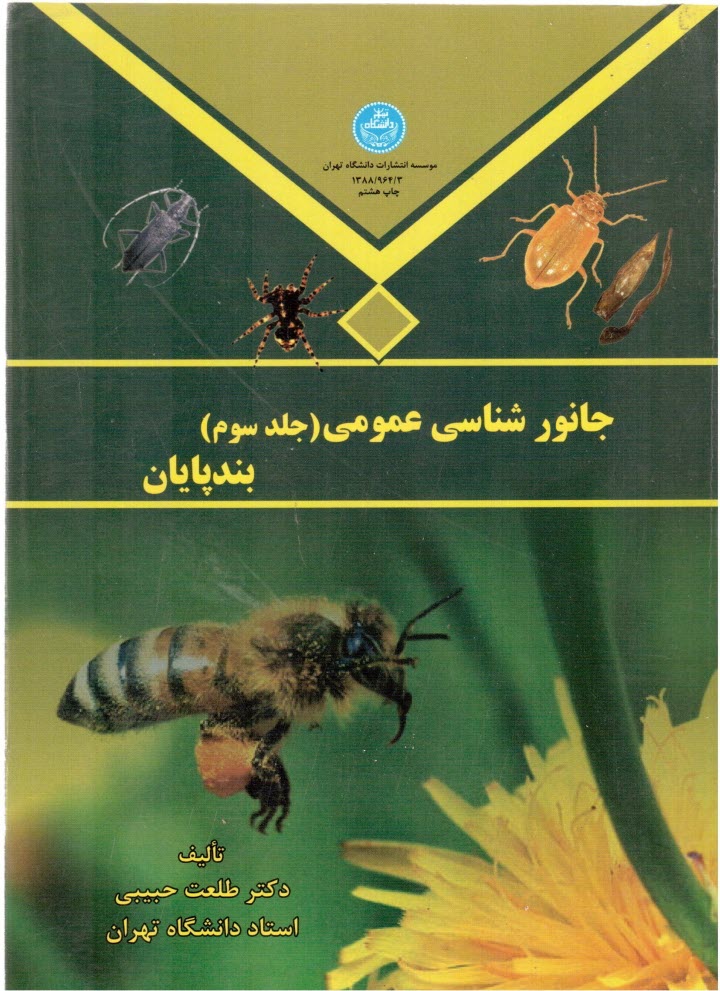 پایانه - جانورشناسی عمومی: بندپایان