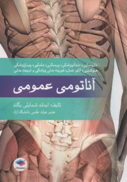 پایانه - آناتومی عمومی