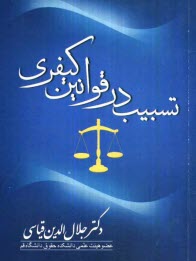 پایانه - تسبیب در قوانین کیفری