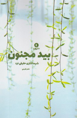 پایانه - بید و مجنون