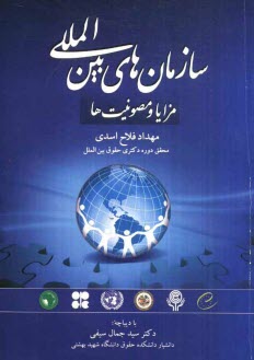 پایانه - سازمان های بین المللی: مزایا و مصونیت ها