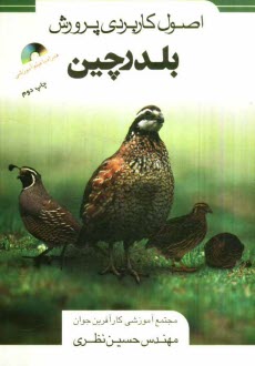 پایانه - اصول کاربردی پرورش بلدرچین