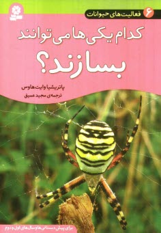 پایانه - کدام یکی ها می توانند بسازند؟