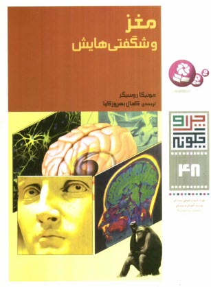 پایانه - مغز و شگفتی هایش