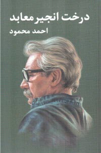 پایانه - درخت انجیر معابد