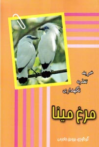 پایانه - مرغ مینا: خرید تغذیه نگهداری
