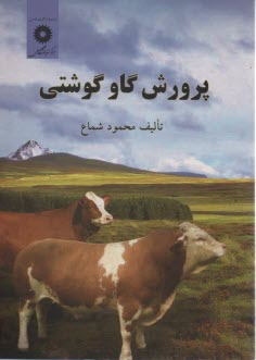 پایانه - پرورش گاو گوشتی