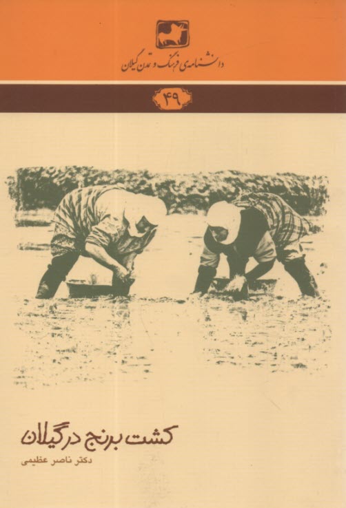 پایانه - کشت برنج در گیلان