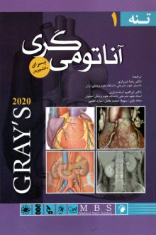 پایانه - آناتومی  گری برای دانشجویان: جلد 1 تنه