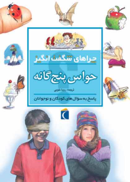 پایانه - حواس پنج گانه