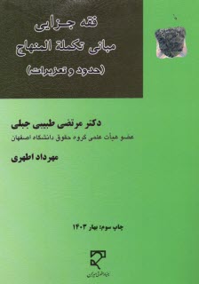 پایانه - فقه جزایی مبانی تکمله المنهاج (حدود و تعزیرات)