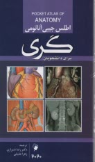 پایانه - اطلس جیبی آناتومی گری