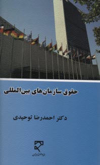 پایانه - حقوق سازمانهای بین المللی