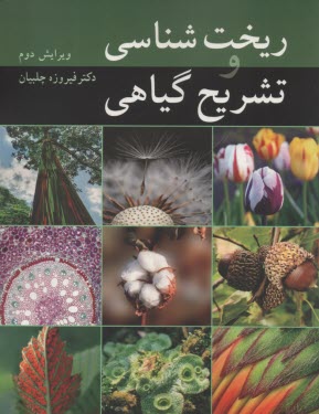 پایانه - ریخت شناسی و تشریح گیاهی