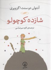 پایانه - شازده کوچولو