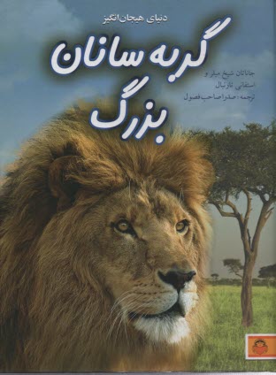 پایانه - دنیای هیجان انگیز گربه سانان بزرگ