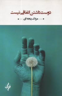 پایانه - دوست داشتن اتفاقی نیست