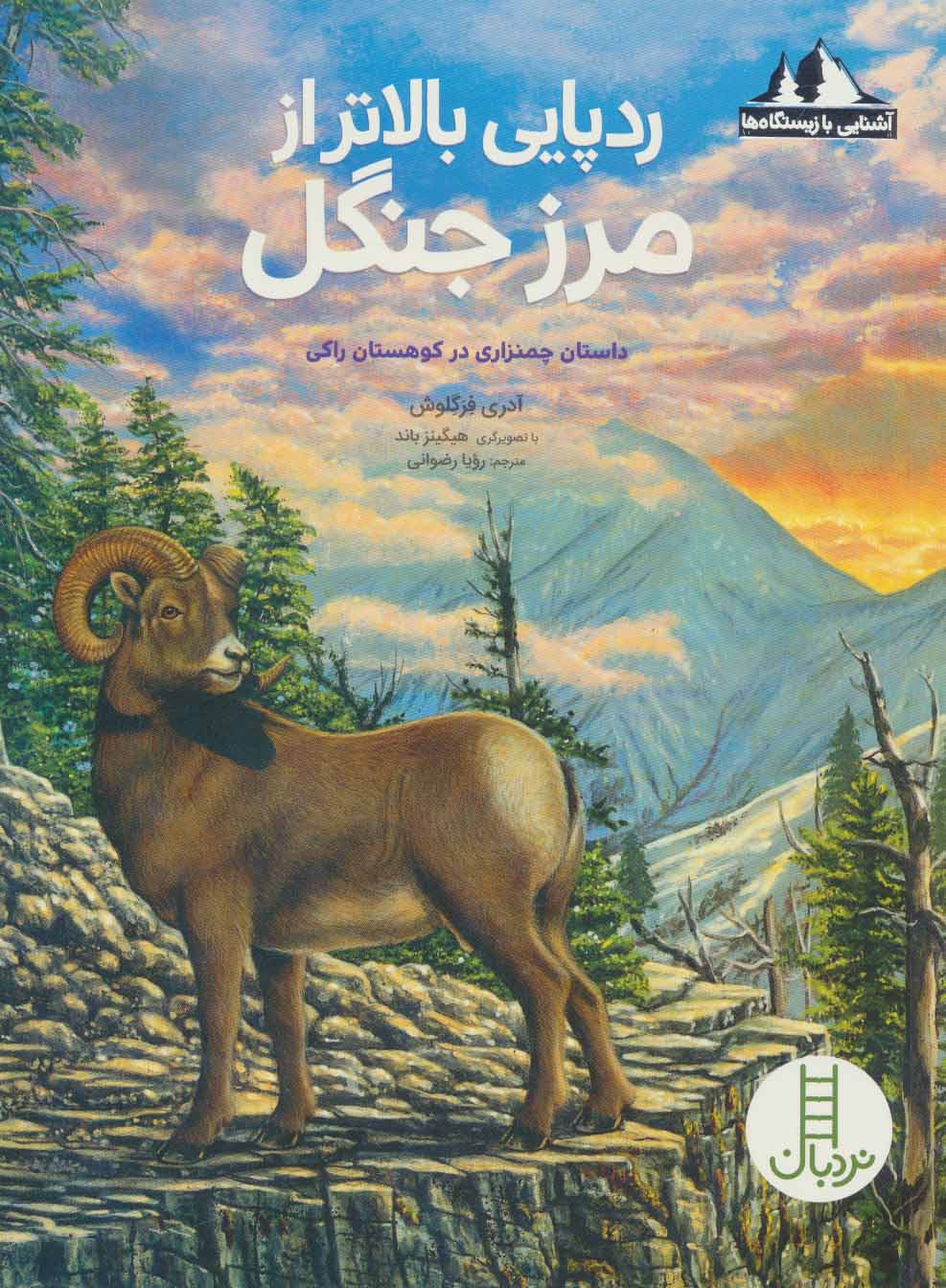 پایانه - ردپایی بالاتر از مرز جنگل