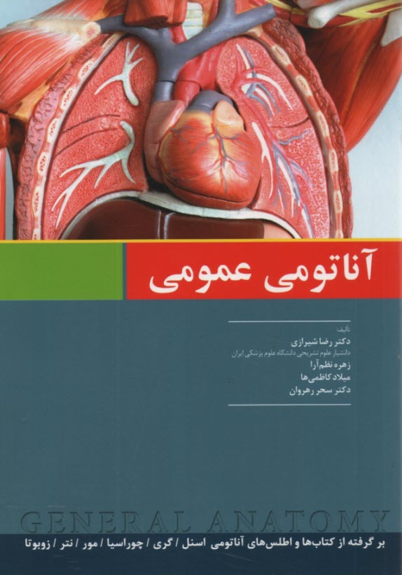 پایانه - آناتومی عمومی