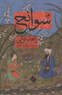 پایانه - سوانح