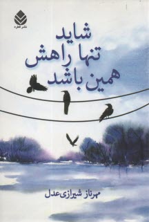 پایانه - شاید تنها راهش همین باشد