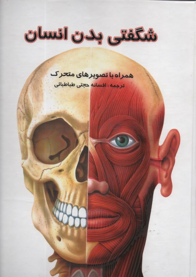 پایانه - شگفتیهای بدن انسان همراه با تصویرهای متحرک