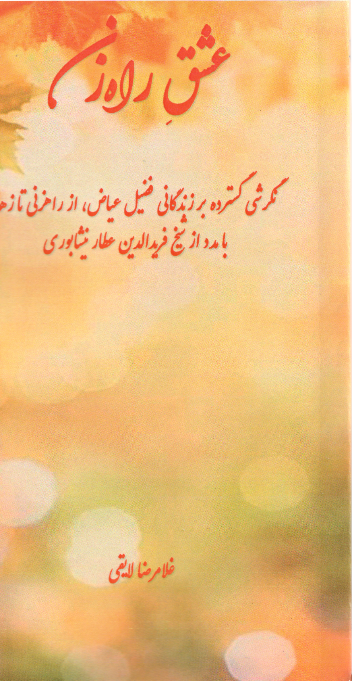 پایانه - عشق راه زن