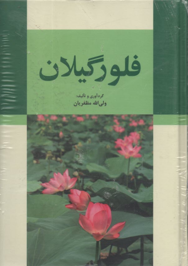 پایانه - فلور گیلان