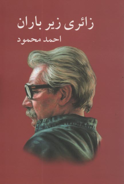 پایانه - زائری زیر باران