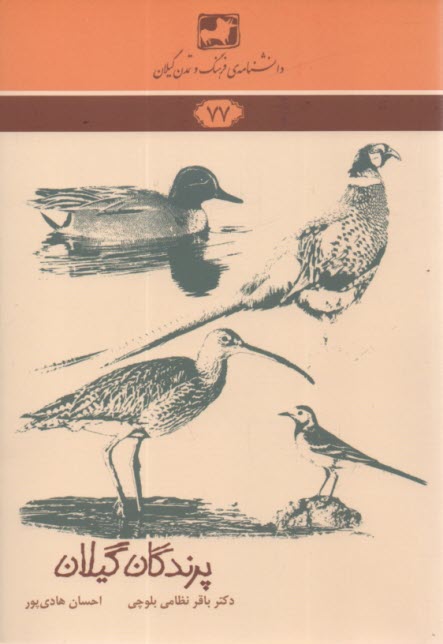 پایانه - دانشنامه 77 : پرندگان ‏گیلان‏