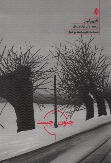 پایانه - جنون چیست