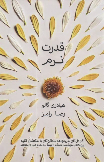 پایانه - قدرت نرم