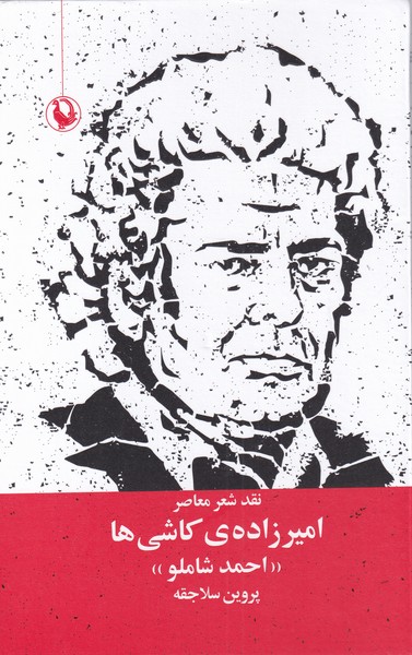 پایانه - امیرزاده ی کاشی ها