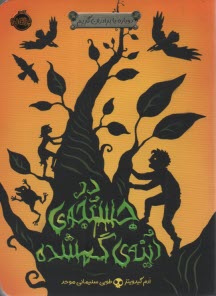 پایانه - در جستجوی آینه ی گمشده