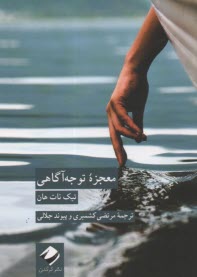 پایانه - معجزه توجه آگاهی