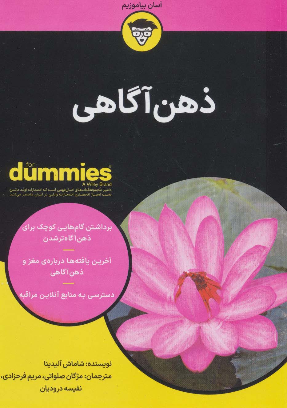 پایانه - ذهن آگاهی