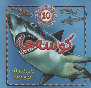 پایانه - کوسه ها: ماهی خطرناک آب های عمیق