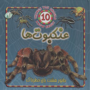 پایانه - عنکبوت ها: جانور هشت پای خطرناک