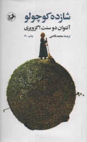 پایانه - شازده کوچولو