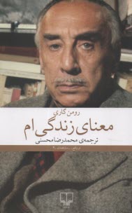 پایانه - معنای زندگی ام