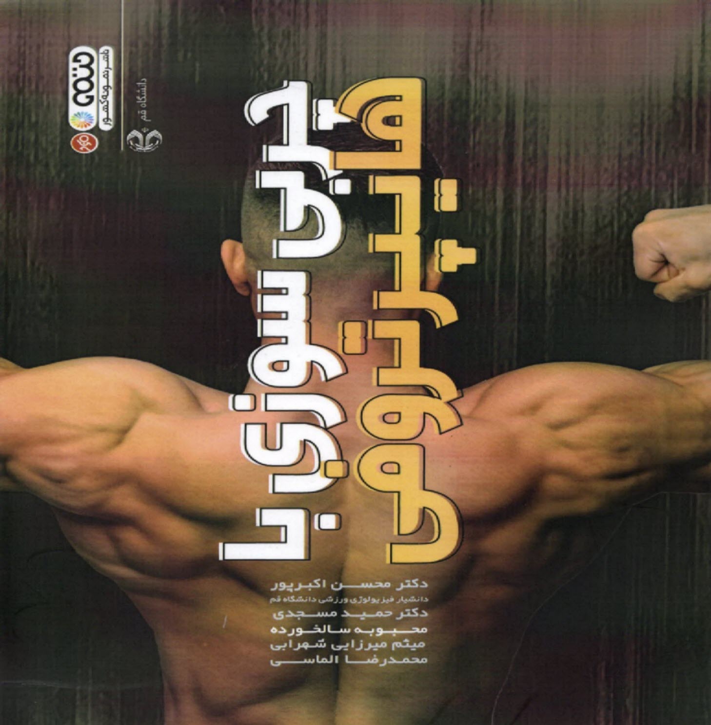 پایانه - چربی سوزی با هایپرتروفی