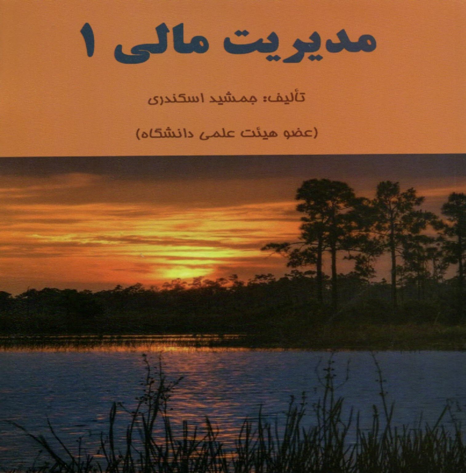 پایانه - مدیریت مالی (1)