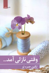 پایانه - وقتی نازلی آمد...