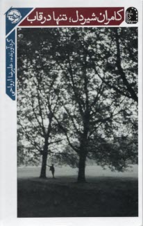 پایانه - کامران شیردل؛ تنها در قاب