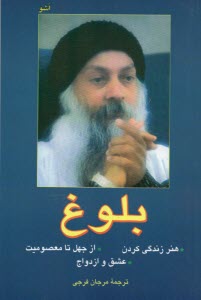 پایانه - بلوغ