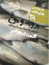 پایانه - پروانه و یوغ: بازخوانی نامه های ونسان ونگوگ