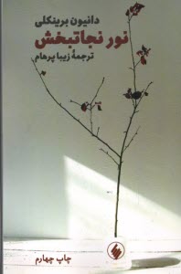 پایانه - نور نجاتبخش